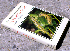 79. The Observer's Book of Caterpillars