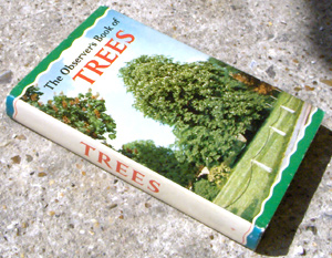 4. The Observer's Book of Trees Rare Horse Chestnut Cover