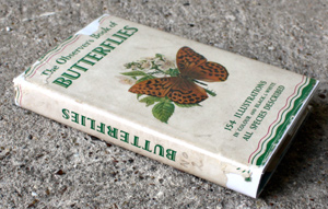 3. The Observers Book of Butterflies
