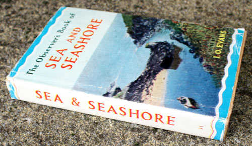 31. The Observer's Book of Sea and Seashore