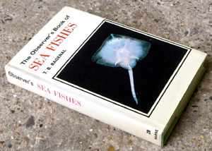 28. The Observer's Book of Sea Fishes