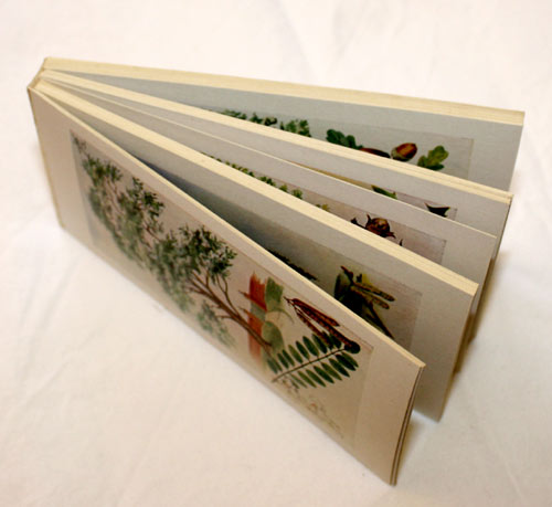 Observer's Picture Cards - Trees 32 PICTURE CARDS plus Box