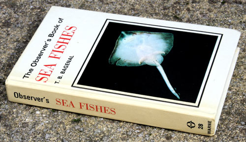 28. The Observer's Book of Sea Fishes Laminated Edition