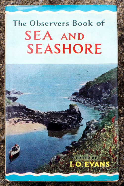 31. The Observer's Book of Sea & Seashore Very Rare Glossy Edition