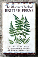 The Observers Book of British Ferns