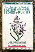 The Observers Book of British Grasses <br>Sedges & Rushes