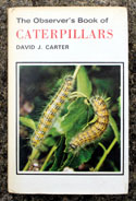 The Observers Book of Caterpillars