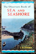 The Observers Book of Sea & Seashore <br>Very Rare Glossy Edition